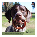 Redbarn Pet Products 250010 Bully Rings (1-Pack, 0.9 oz.)