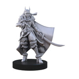 Steamforged Games Animal Adventures Raiders of the Lost Coast Miniatures