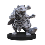 Steamforged Games Animal Adventures Raiders of the Lost Coast Miniatures