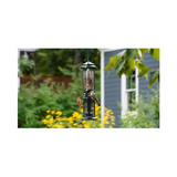 Brome Squirrel Buster Nut Feeder Squirrel-Proof Bird Feeder (Two Meshes)