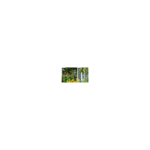 Brome Squirrel Buster Nut Feeder Squirrel-Proof Bird Feeder (Two Meshes)
