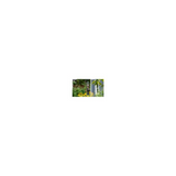 Brome Squirrel Buster Nut Feeder Squirrel-Proof Bird Feeder (Two Meshes)
