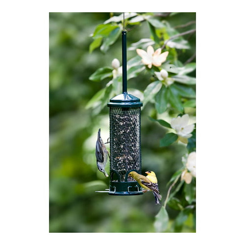 Brome Squirrel Buster Mini Squirrel-Proof Bird Feeder