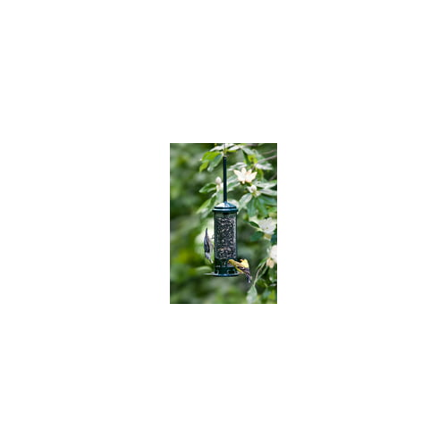 Brome Squirrel Buster Mini Squirrel-Proof Bird Feeder