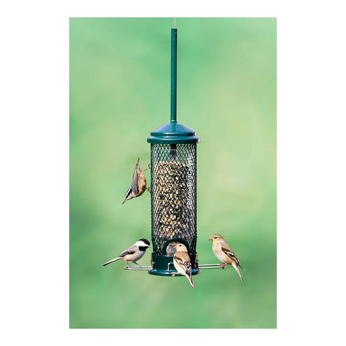 Brome Squirrel Buster Mini Squirrel-Proof Bird Feeder