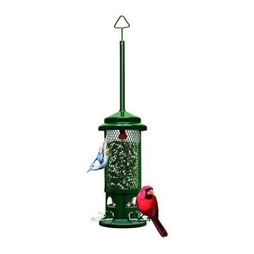 Brome Squirrel Buster Standard Squirrel-Proof Bird Feeder with 4 Metal Perches