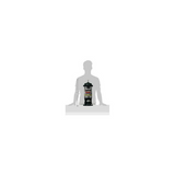 Brome Squirrel Buster Standard Squirrel-Proof Bird Feeder with 4 Metal Perches