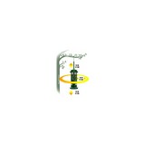 Brome Squirrel Buster Standard Squirrel-Proof Bird Feeder with 4 Metal Perches