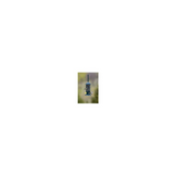 Brome Squirrel Buster Standard Squirrel-Proof Bird Feeder with 4 Metal Perches
