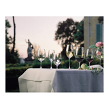 Riedel Ouverture White Wine Glass (Set of 2)