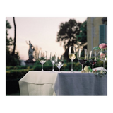 Riedel Ouverture Magnum Wine Glasses (2-Pack)