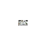 Riedel Vinum Bordeaux Grand Cru Glasses (2-Pack)