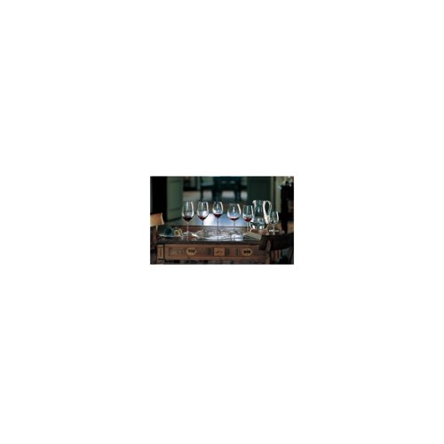 Riedel Vinum Bordeaux Grand Cru Glasses (4-Pack) with Wine Pourer Bundle