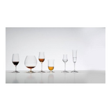 Riedel Vinum Brandy Glass (4-Pack) with Wine Pourer and Polishing Cloth