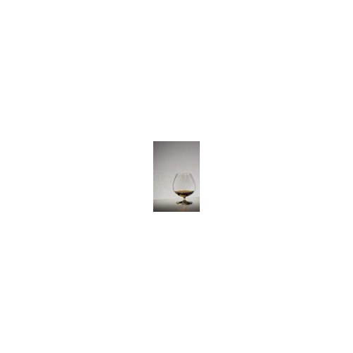 Riedel Vinum Brandy Glass (4-Pack) with Wine Pourer and Polishing Cloth