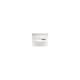 Riedel Performance Wine Glass (Chardonnay, 2-pack)