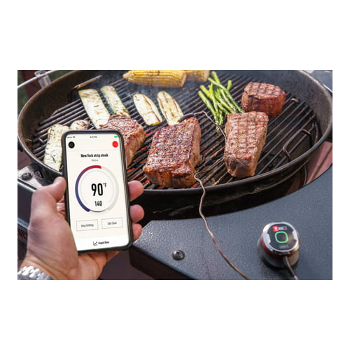 Weber iGrill Mini