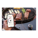 Weber iGrill Mini