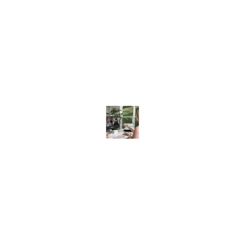 Logitech Brio 500 Webcam (Rose)