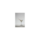 Riedel Vinum Martini Glasses (Set of 4) with Wine Pourer and Polishing Cloth