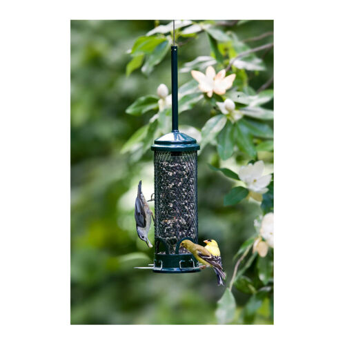 Brome Squirrel Buster Mini Squirrel-Proof Bird Feeder