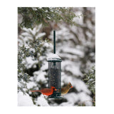 Brome Squirrel Buster Mini Squirrel-Proof Bird Feeder