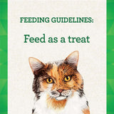 Greenies Pill Pockets Salmon Treats For Cat 45 oz. 1 pk