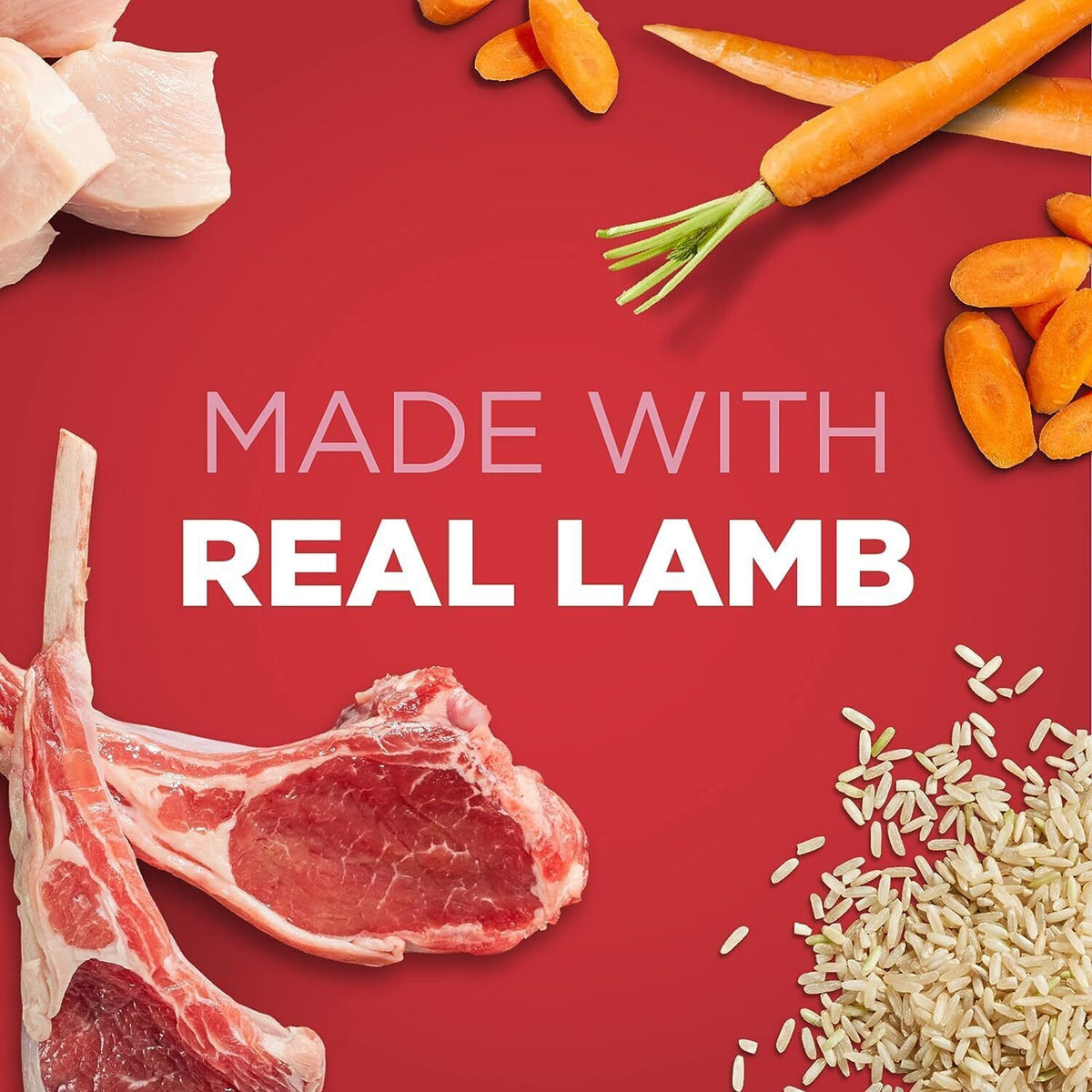 IAMS PROACTIVE HEALTH Adult Wet Dog Food Lamb and Whole Grain Rice 13oz, 6 Cans