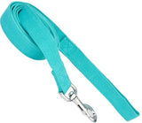 Coastal - New Earth Soy - Dog Leash, Mint, 1 Inches x 06 Inches