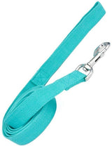 Coastal - New Earth Soy - Dog Leash, Mint, 1 Inches x 06 Inches