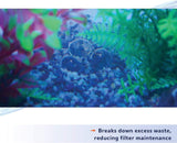 Aqueon-100538540 Aqueon Pure