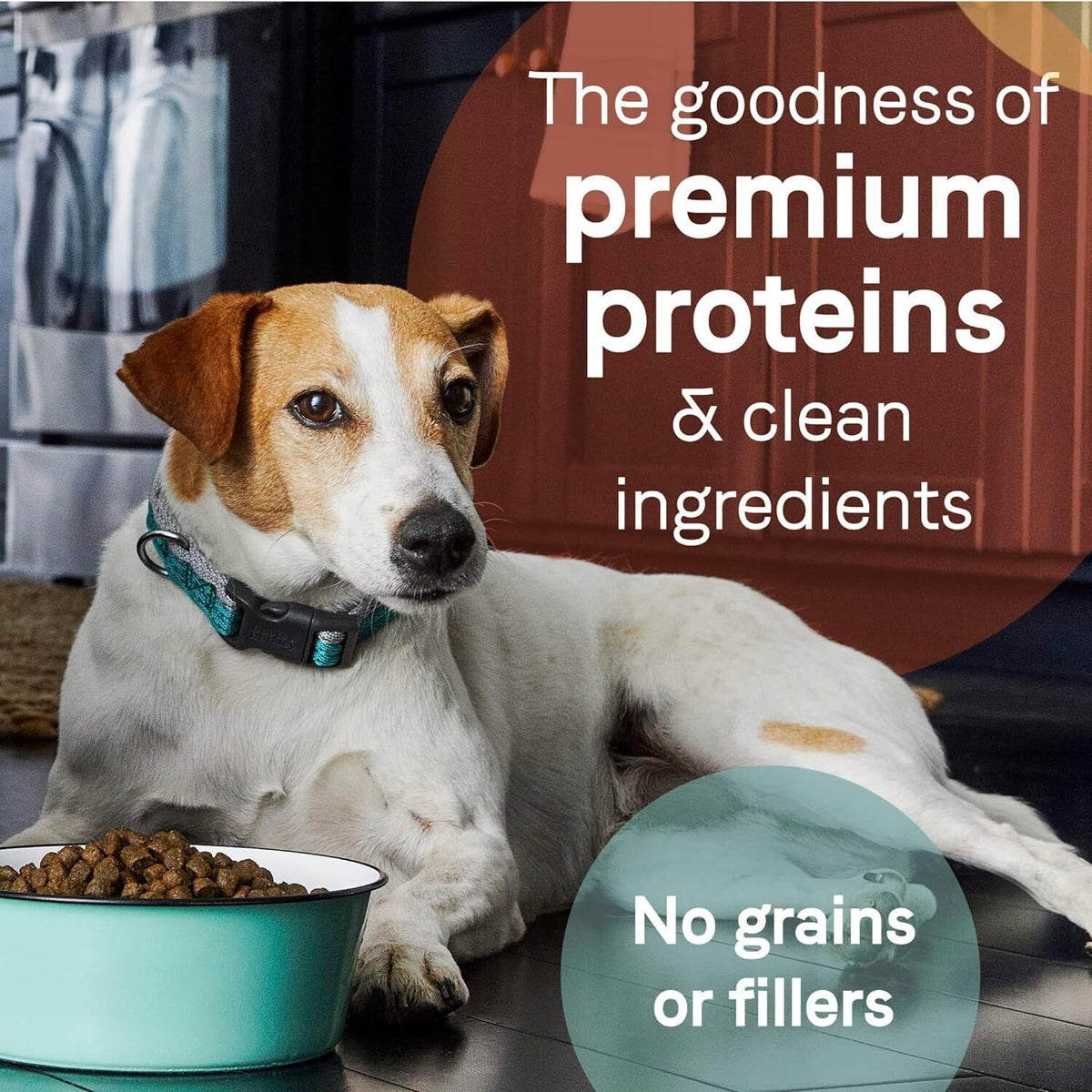 Canidae Pure Real Lamb & Pea Recipe Adult Dry Dog 24 LB