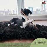 Redbarn All Natural 7 Inches Bully Sticks for Dogs 6 Count
