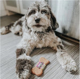Nature Animals Gourmet Select Dog Biscuit Display, 24 pcs