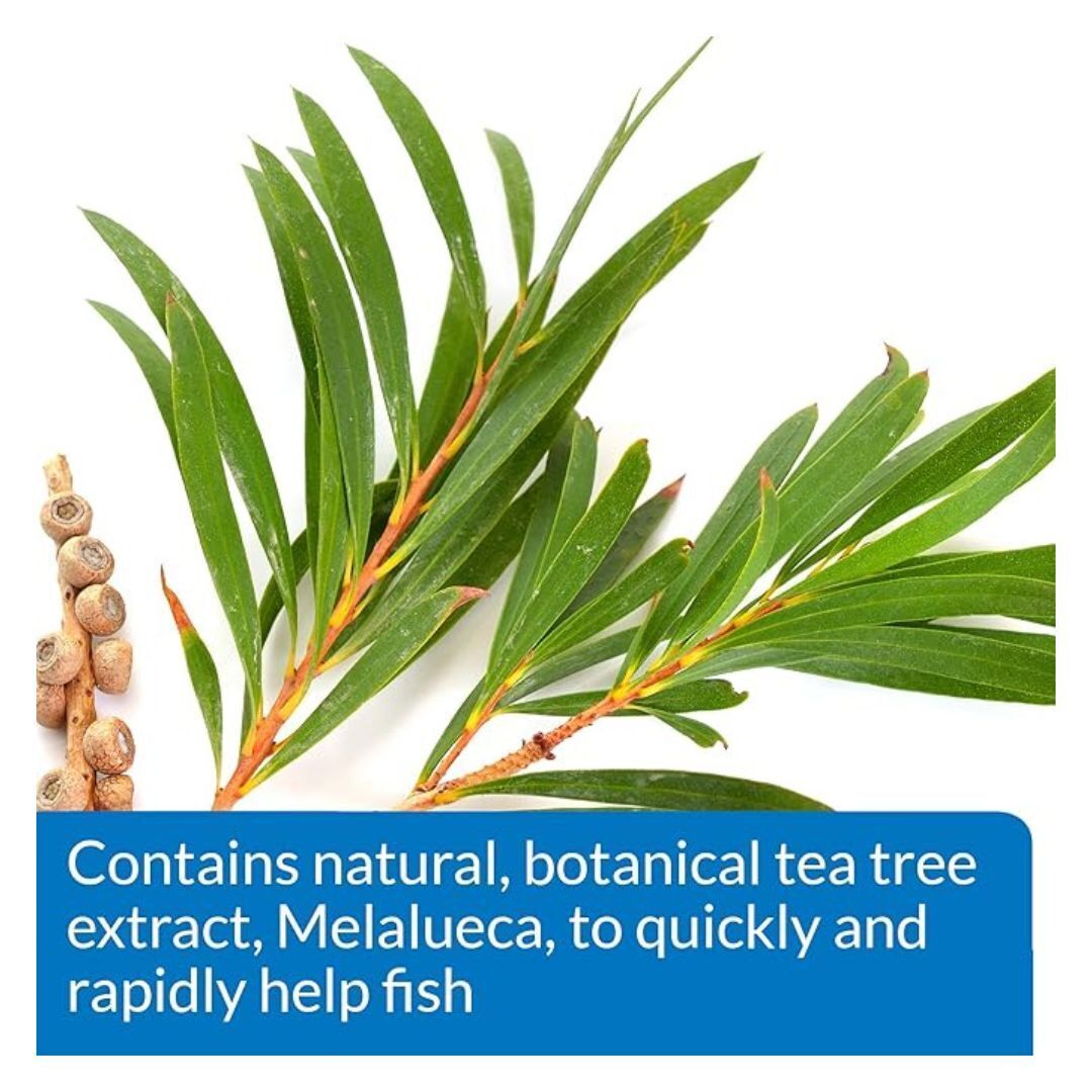 API MELAFIX Freshwater Fish Bacterial Infection Remedy 64-Ounce Bottle