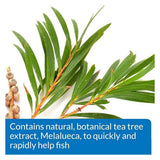 API MELAFIX Freshwater Fish Bacterial Infection Remedy 64-Ounce Bottle