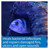 API MELAFIX Freshwater Fish Bacterial Infection Remedy 64-Ounce Bottle