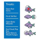 API MELAFIX Freshwater Fish Bacterial Infection Remedy 64-Ounce Bottle