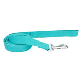 Coastal - New Earth Soy - Dog Leash, Mint, 1 Inches x 06 Inches