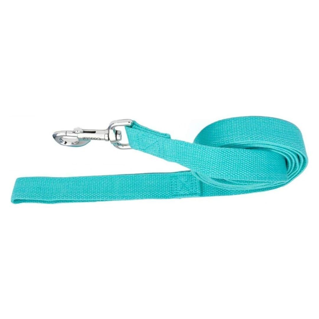 Coastal - New Earth Soy - Dog Leash, Mint, 1 Inches x 06 Inches