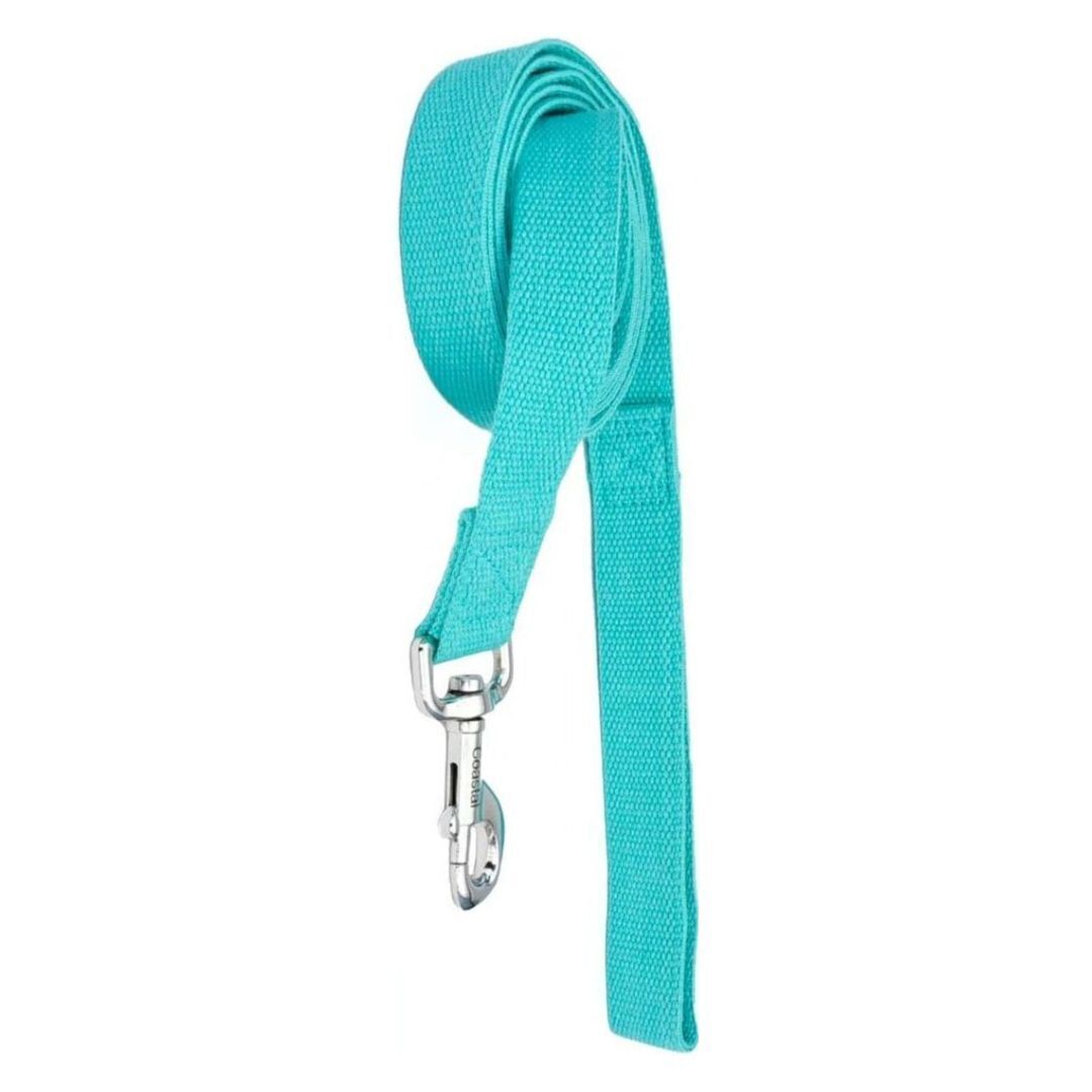 Coastal - New Earth Soy - Dog Leash, Mint, 1 Inches x 06 Inches