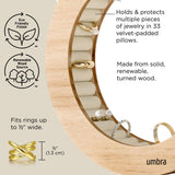 Umbra Ferris Jewelry Organizer