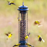 Brome Squirrel Solution 150 Squirrel-Proof Bird Feeder, 2.6-Pound Seed Capacity