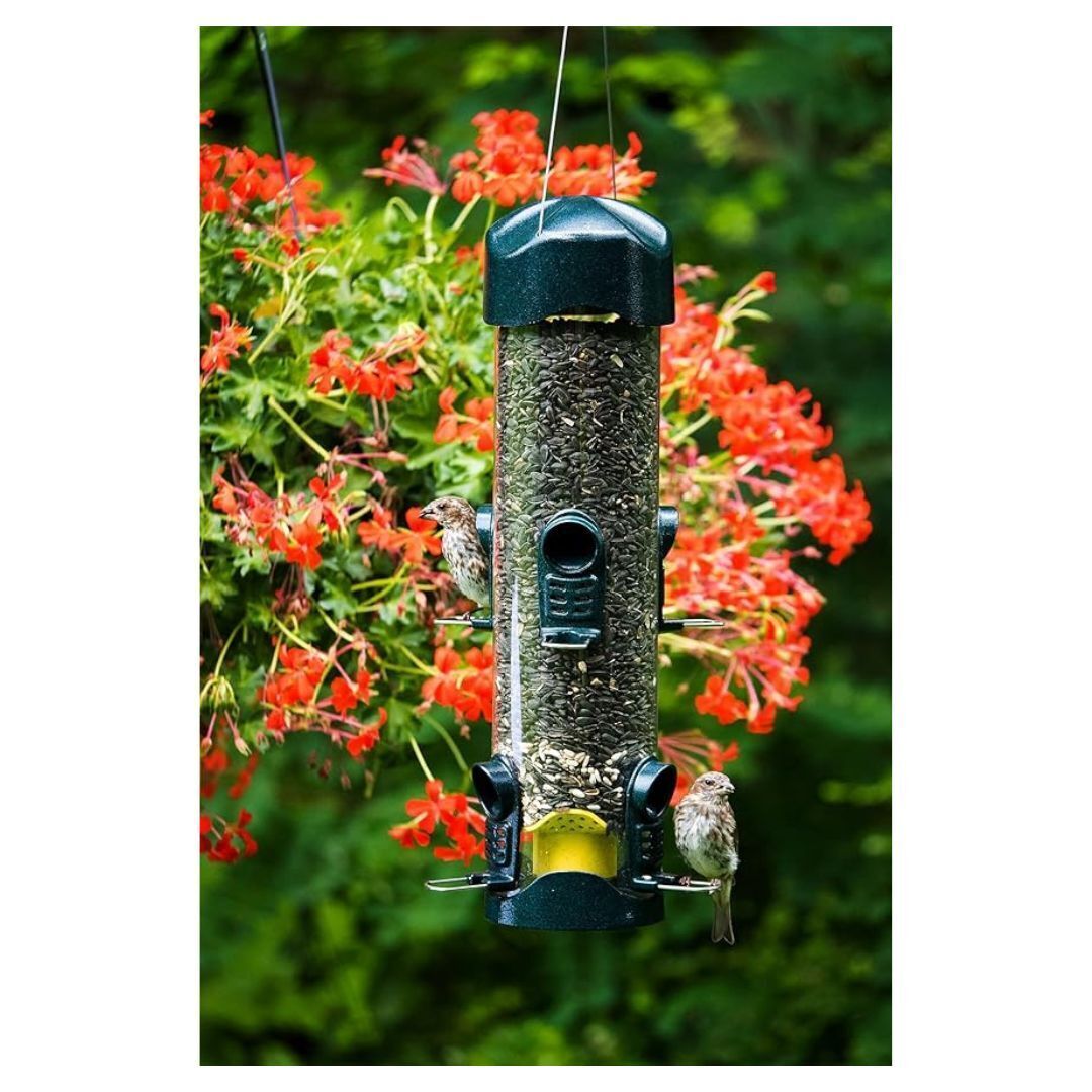 Brome Mega 600 Metal Tube Feeder w/6 Seed Ports, 4 lbs seed capacity