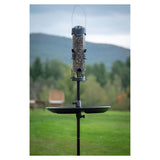 Brome Mega 600 Metal Tube Feeder w/6 Seed Ports, 4 lbs seed capacity