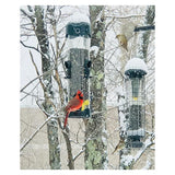 Brome Mega 600 Metal Tube Feeder w/6 Seed Ports, 4 lbs seed capacity