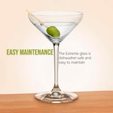 Riedel Vinum Martini Glass (6-Pack) with Microfiber Polishing Cloth