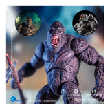 Godzilla vs Kong: Godzilla and Kong Exquisite Basic Series PX Action Figures