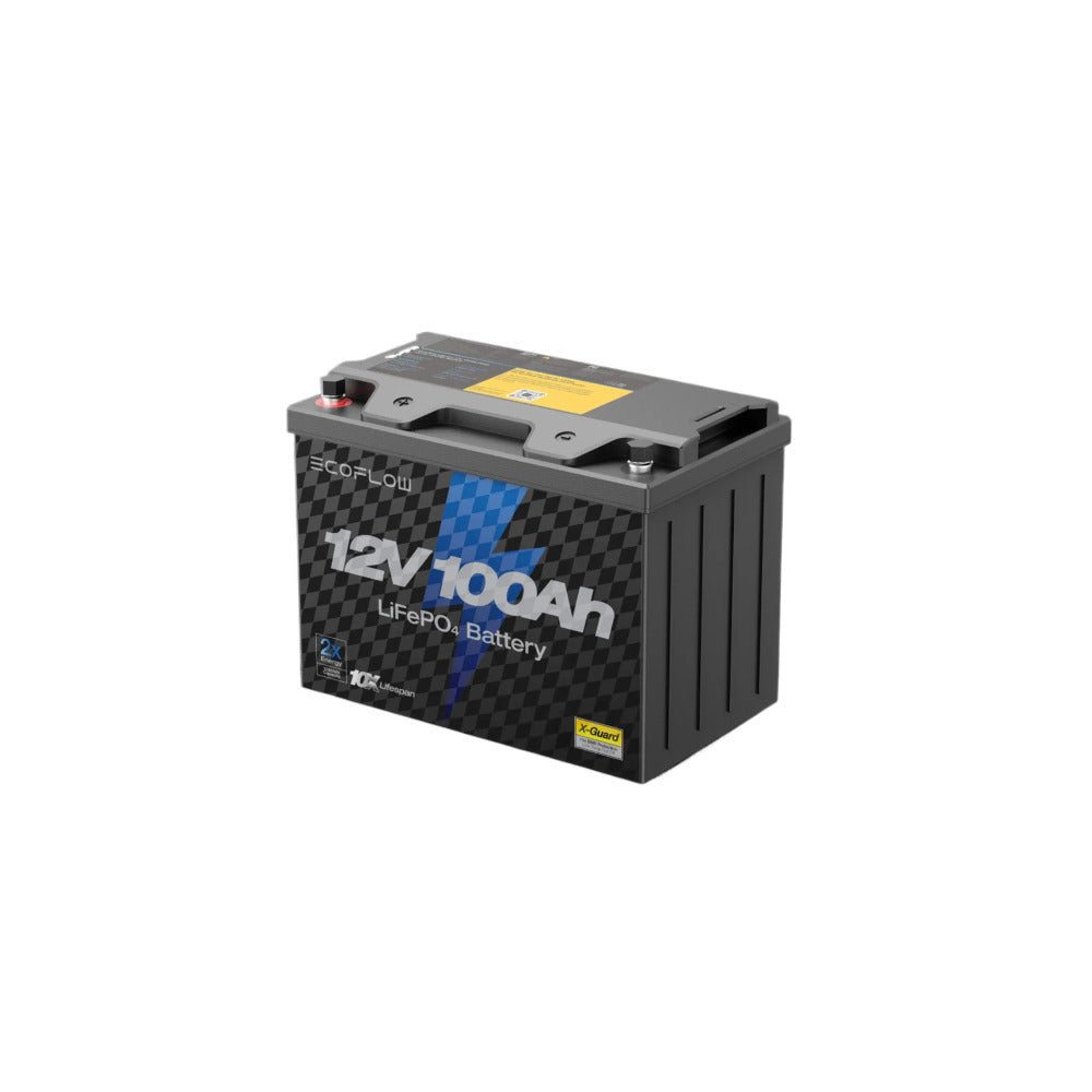 EcoFlow Lithium 12V 100Ah Deep Cycle LiFePO4 Battery