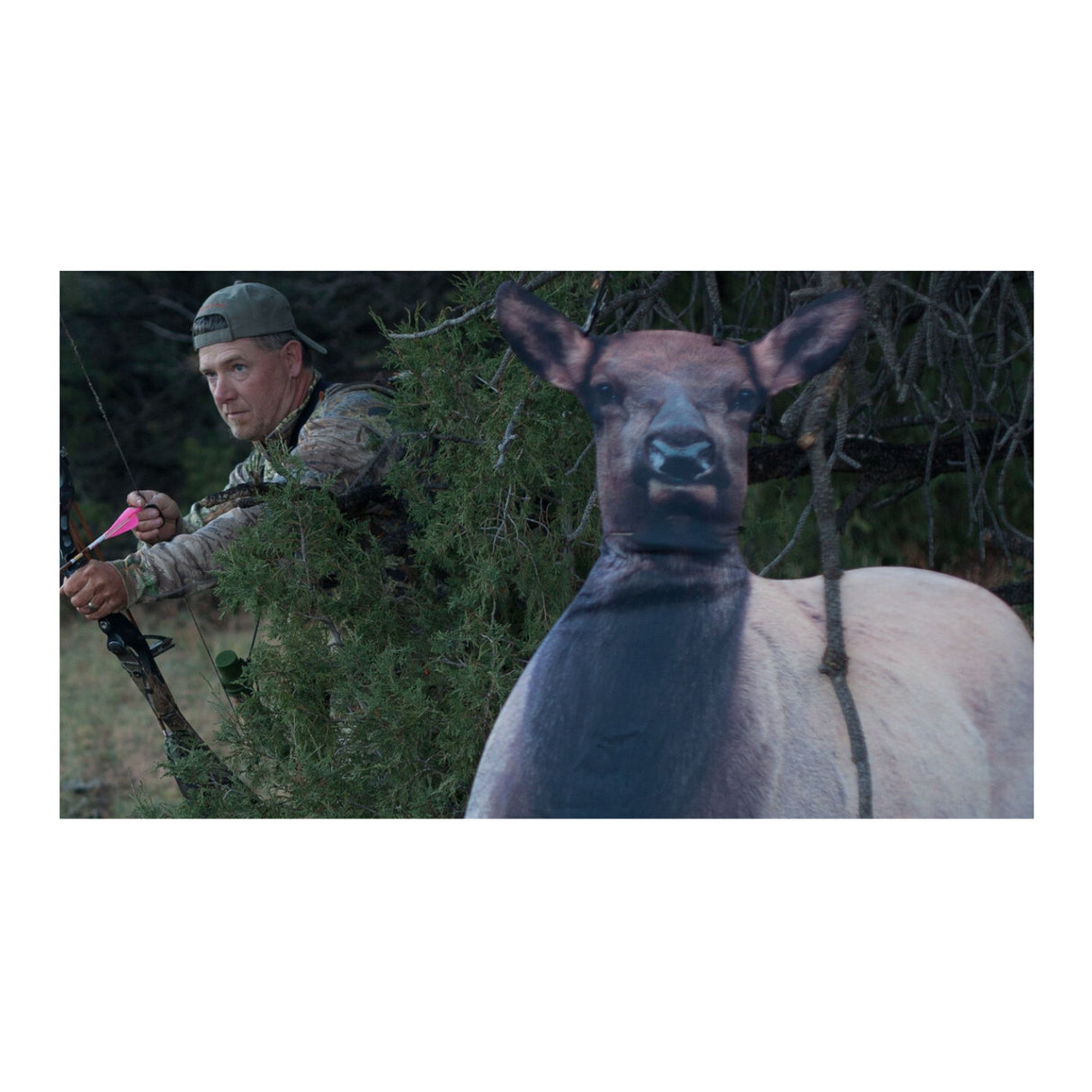 Montana Decoy Eichler Elk Ultra-Portable Full-Body Bundle with Carrier